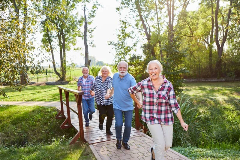 Groupe de seniors en bonne santé se promenant dans un parc arboré