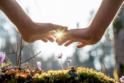 Des mains couvrent des fleurs de façon à les protéger