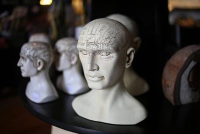Buste de mannequin avec sur le crâne un découpage des zones du cerveau